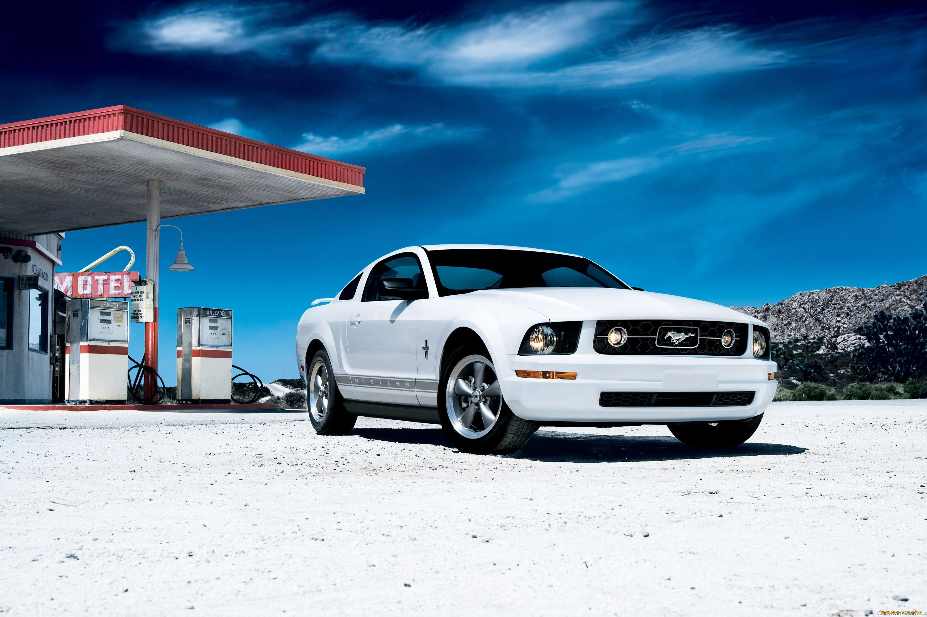 , mustang, , 